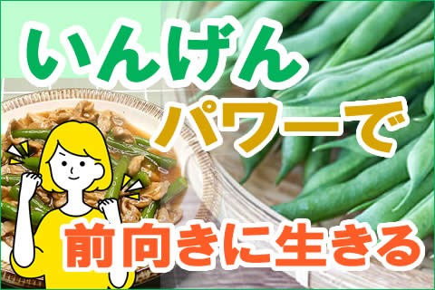 いんげんパワー